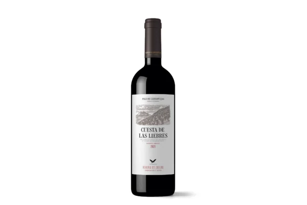 Estuche de 1 botella Magnum Pago de Carraovejas 2023 · 150 cl - Imagen 2